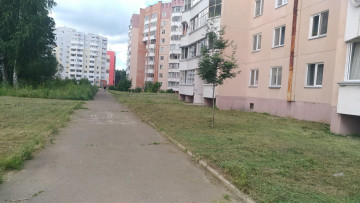 Покос травы на дворовых территориях.